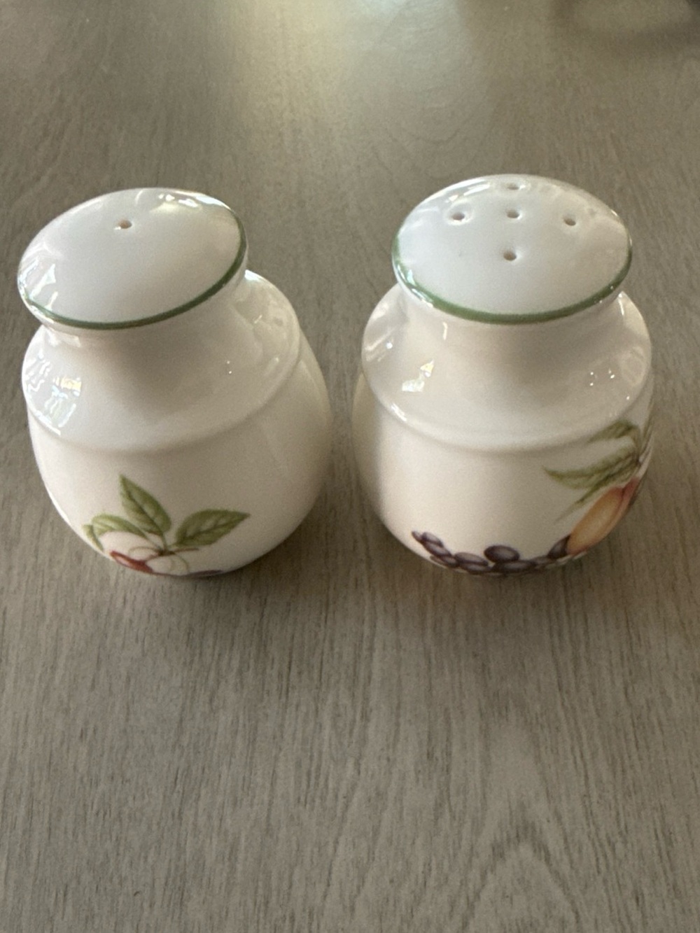 Royal Doulton China Ashberry Salt and Pepper Shaker